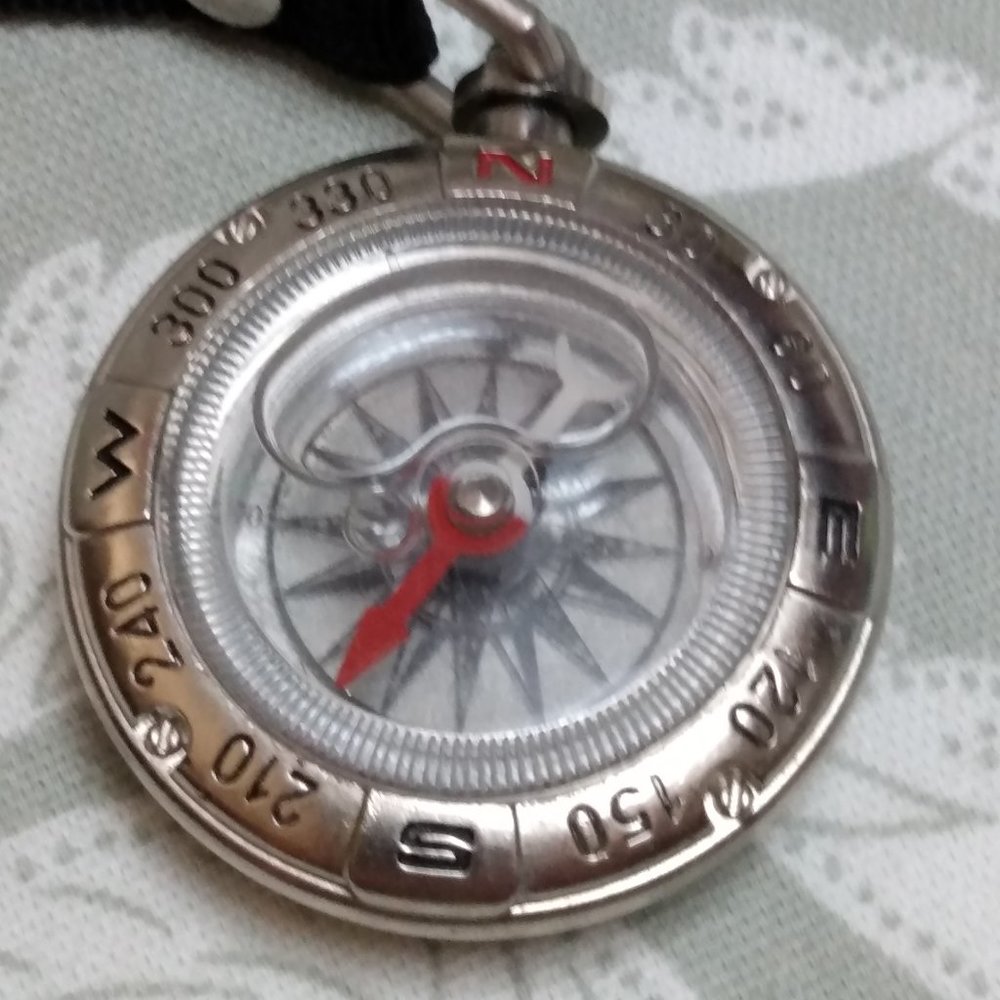 Compass With Celtic Knotwork - image 2